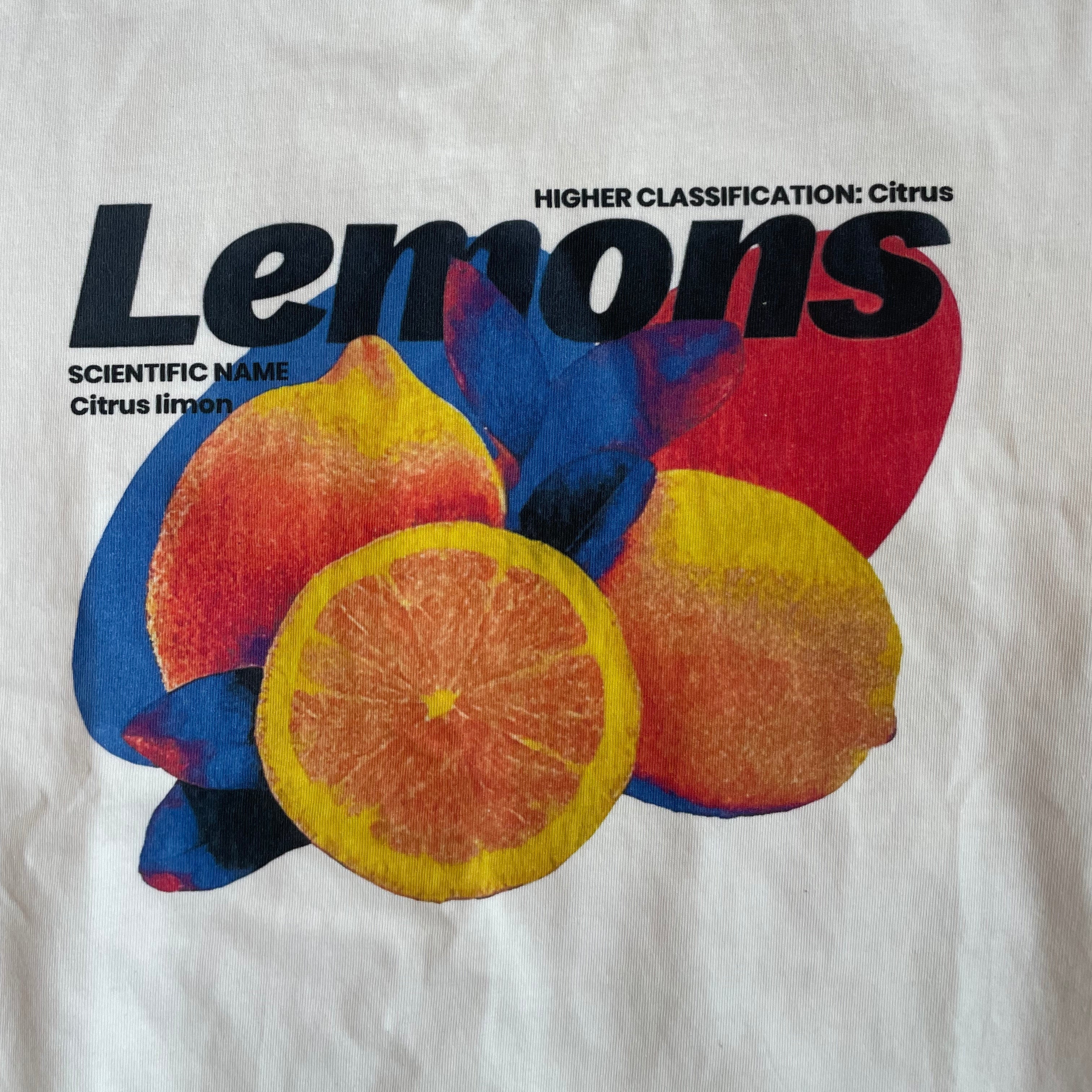 ”Lemons” T-Shirt (220 GSM.) - 2K WRLD