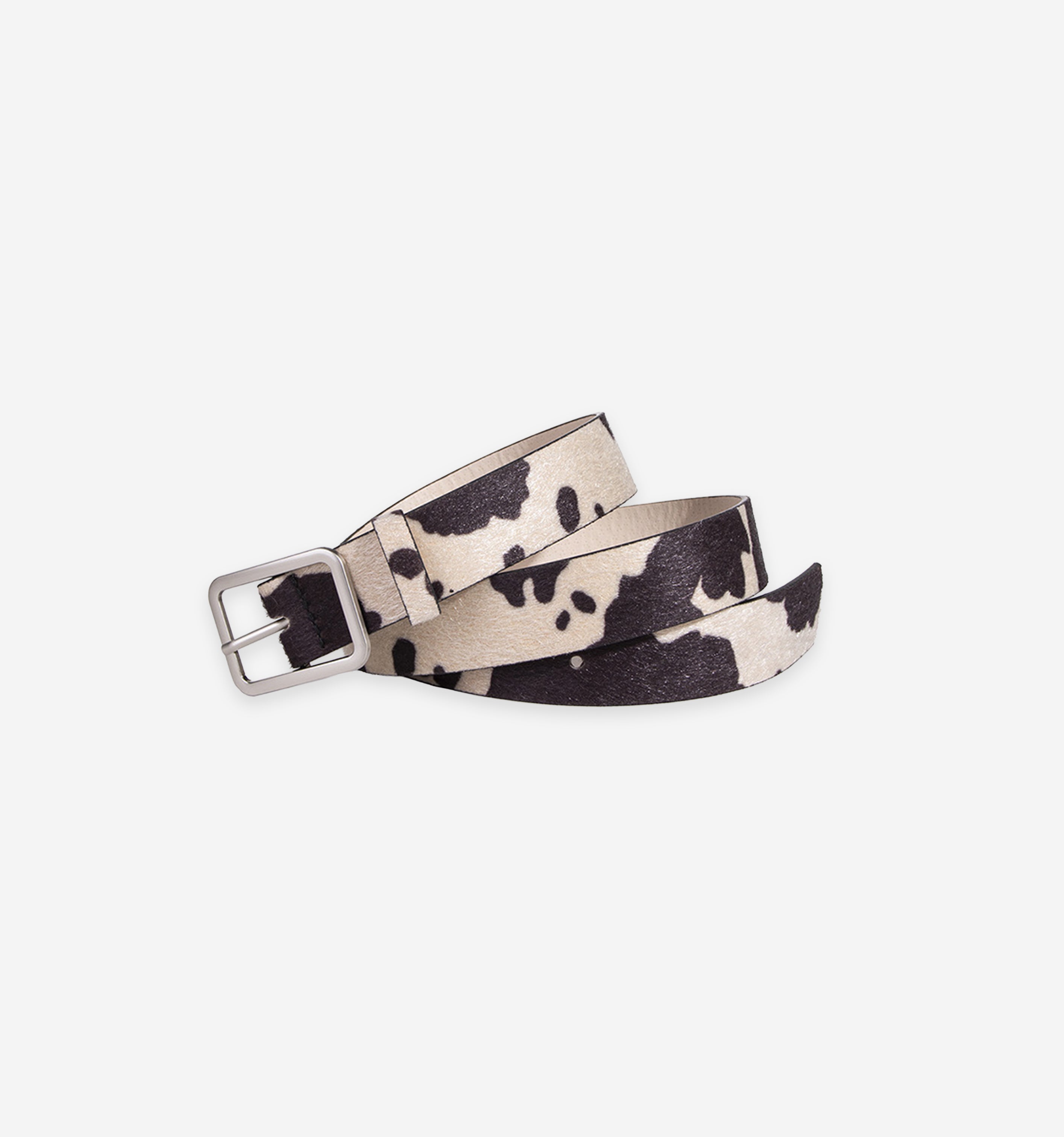 Cow print belt with a silver buckle on a white background
